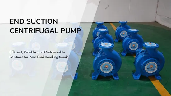ANSI Standard Single Stage Stainless Steel Centrifugal Transfer Chemical Pump